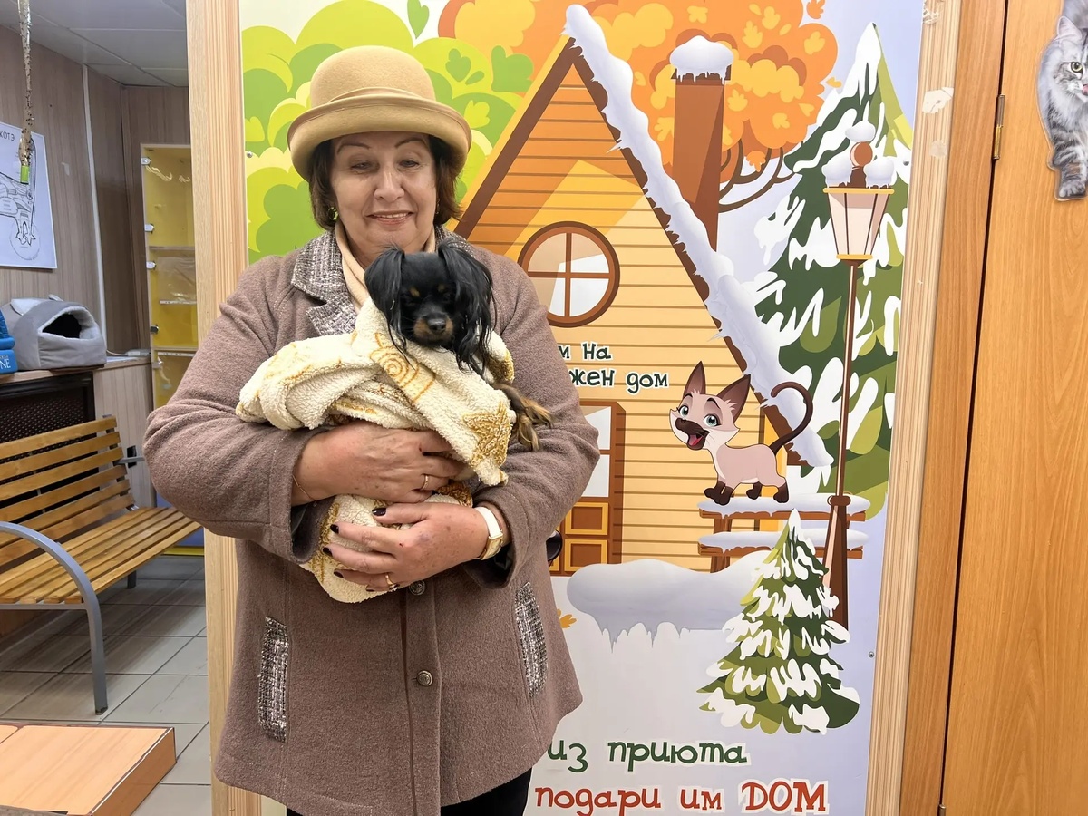 Октябрь 2023 года, Мак уезжает в новый дом.