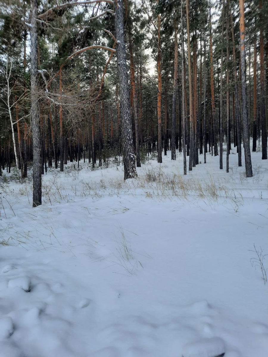 Фото автора.