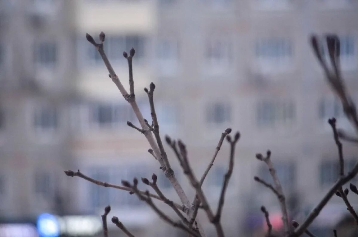    15 марта в Туле прогнозируют солнечную погоду и до +10℃