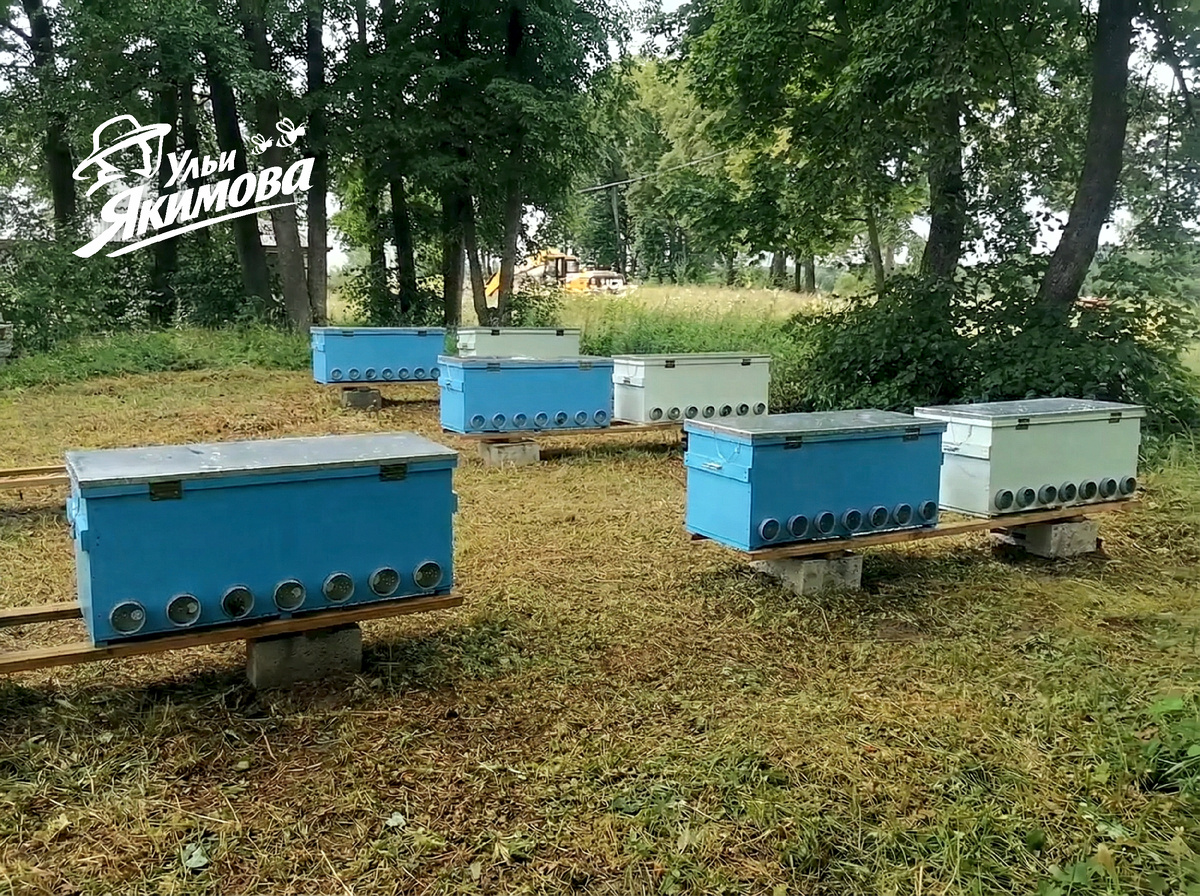 Ульи Якимова