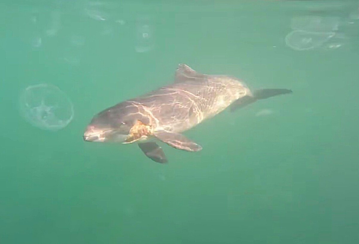     / Источник: © Global Look Press