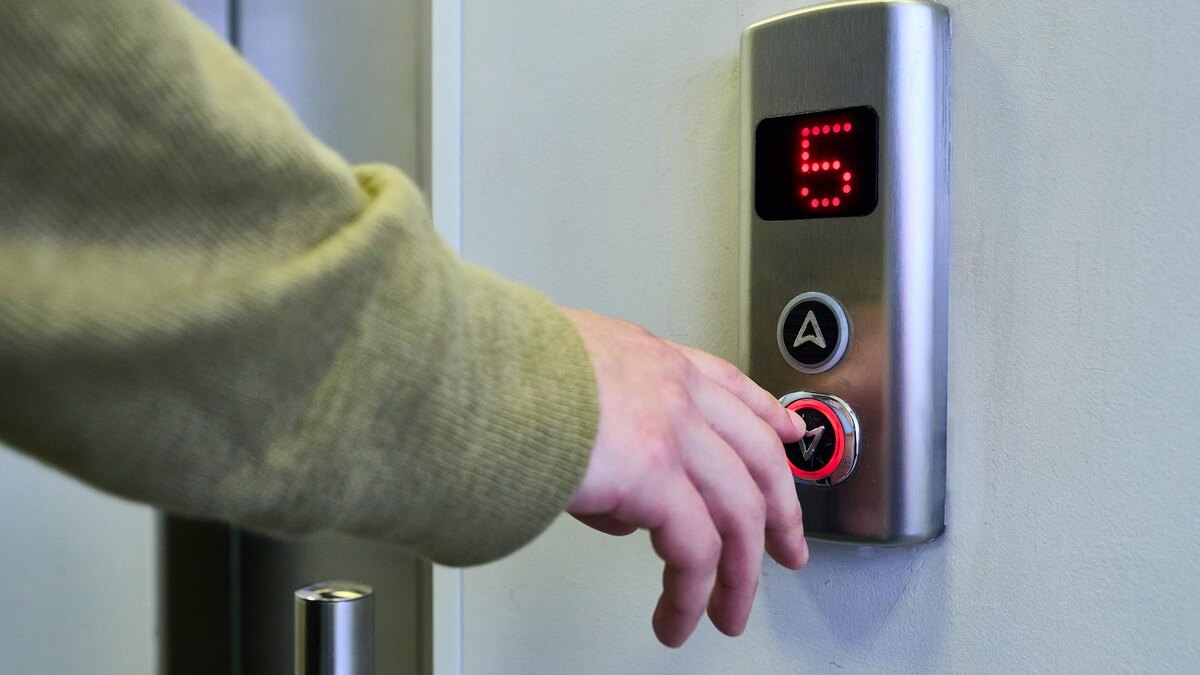    Фото: ИЗВЕСТИЯ/Полина Фиолет