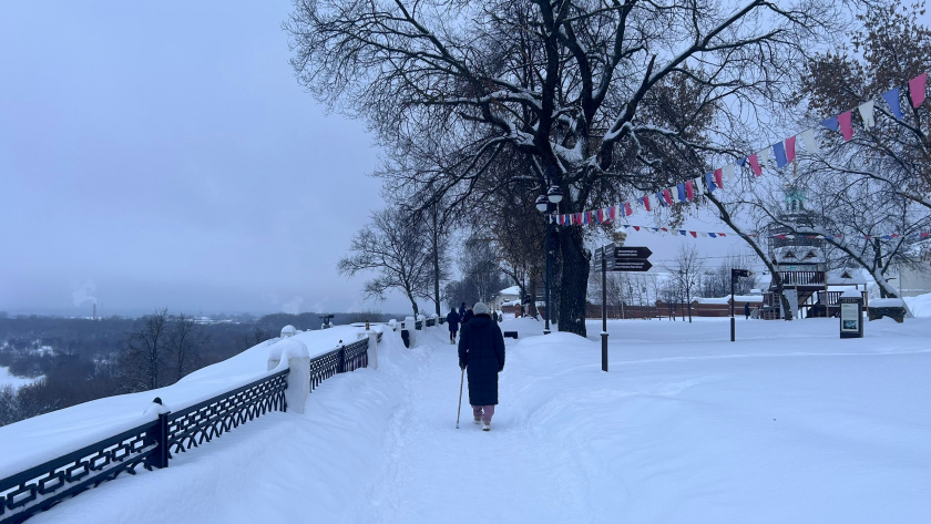    Фото progorod43.ru