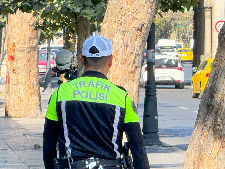     Фото: Petrov Sergey/news.ru/ Global Look Press