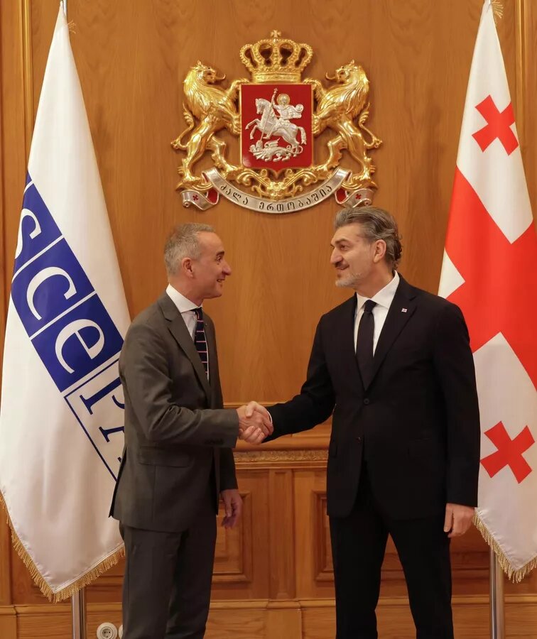 Президент Грузии Михаил Кавелашвили и президент Парламентской ассамблеи ОБСЕ Пере Хоаном Понсом Сампьетро, 10 марта 2026г.