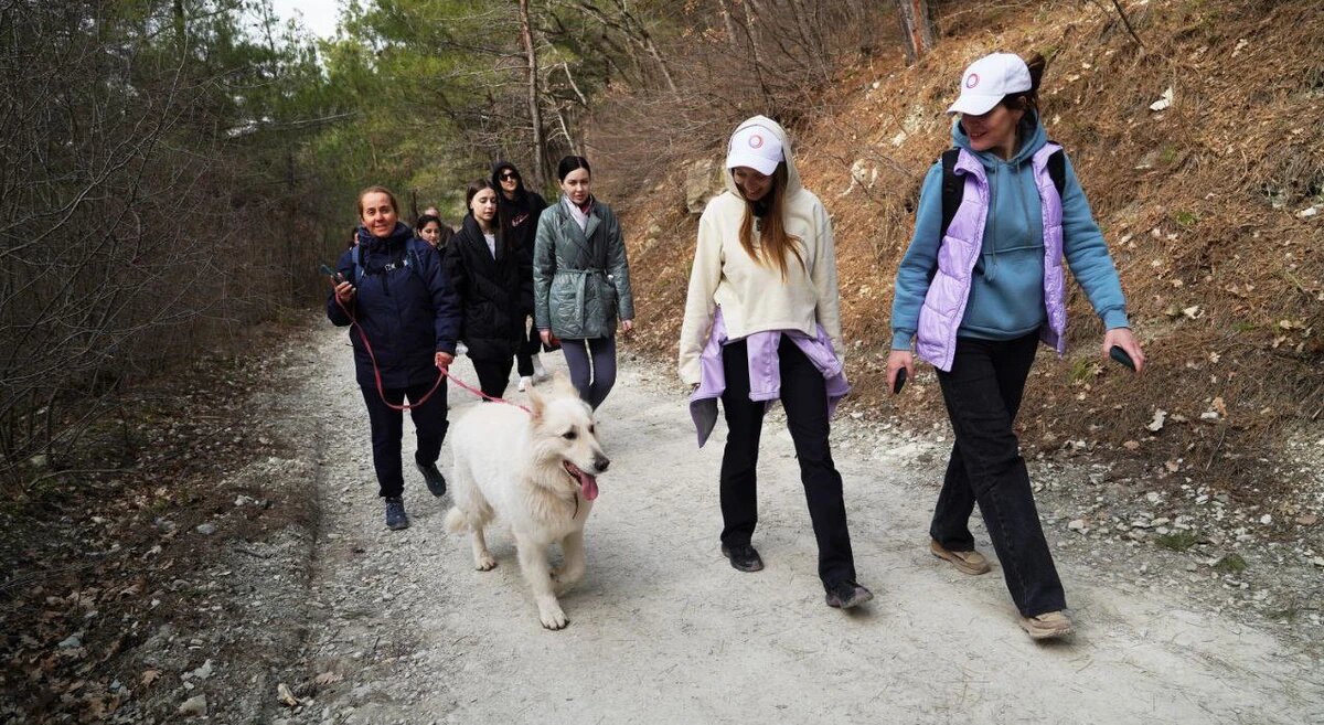    Фото t.me/admkrai