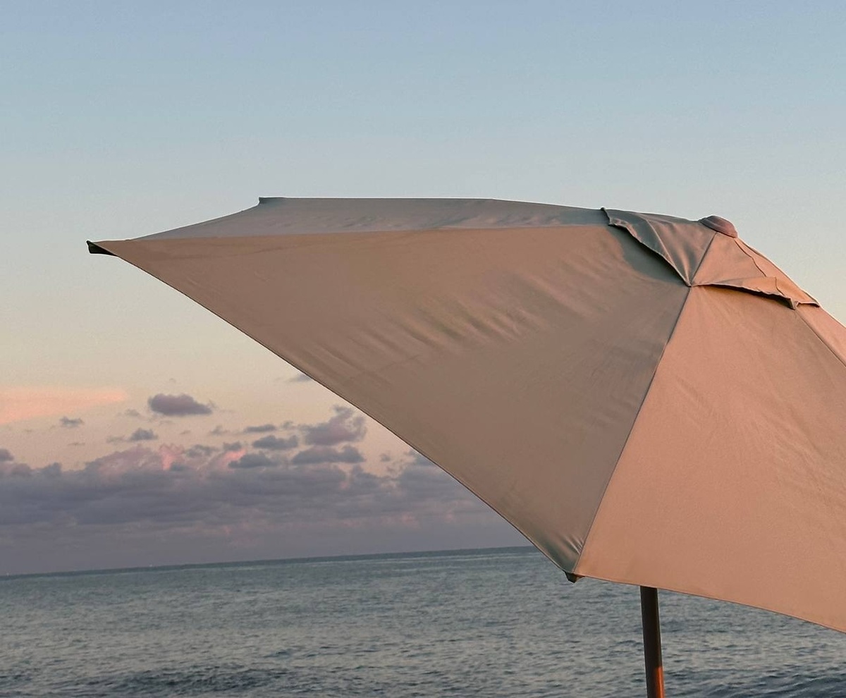     Фото: "Бриф24"