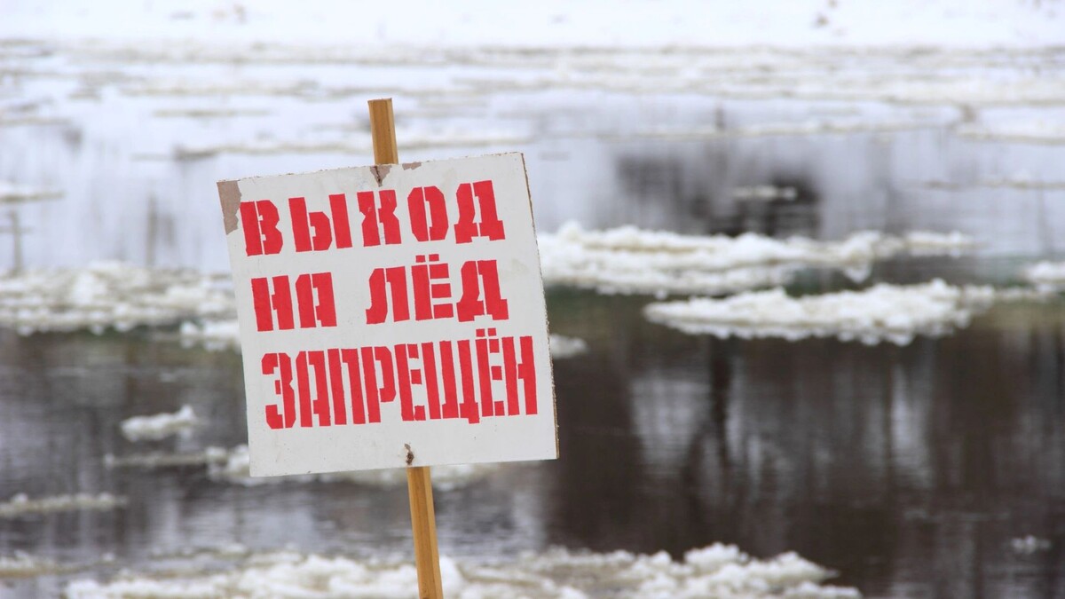    Фото: ilmarinfoto/Shutterstock/Fotodom