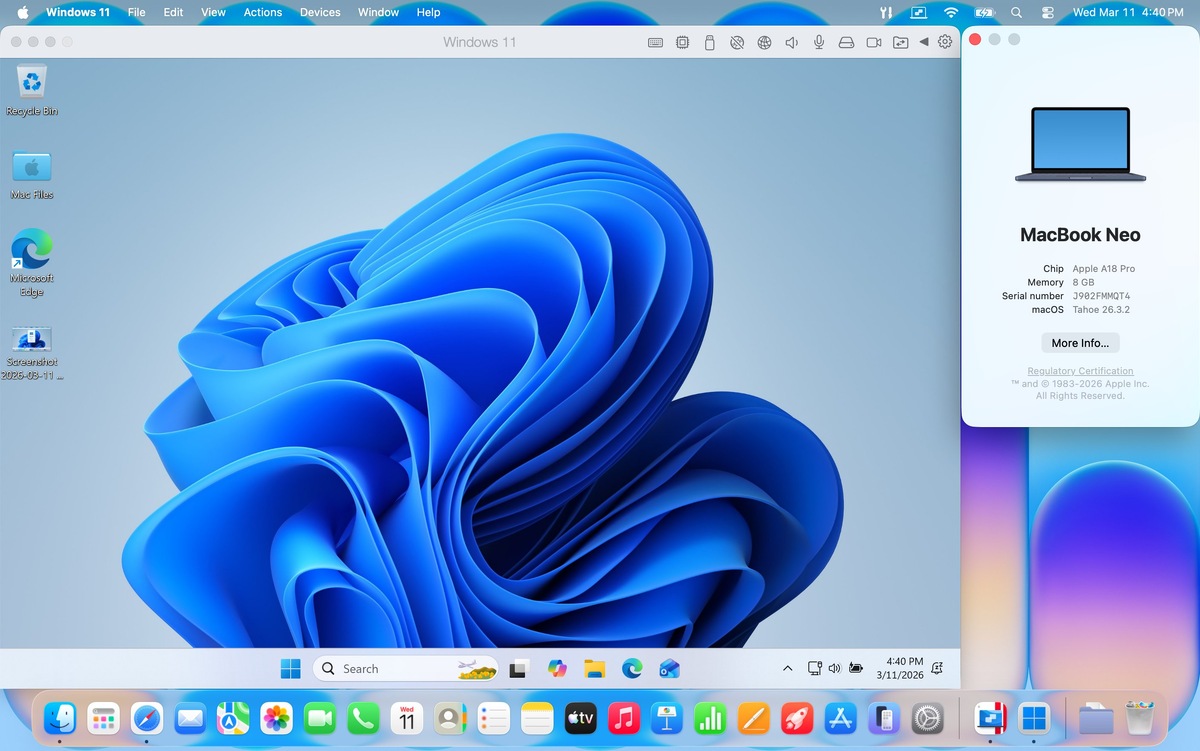Фото Parallels  📷
