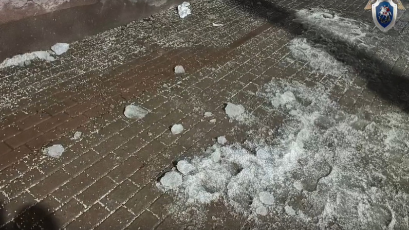    Фото: скриншот видео СУ СК России по Калужской области