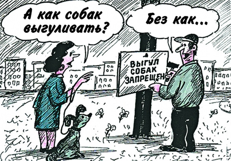 Яндекс=картинки