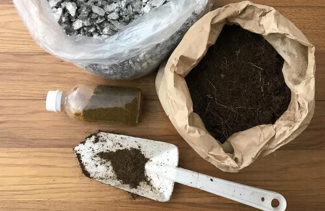 Что надо сделать сегодня с рассадой перца, чтобы не остаться без урожая