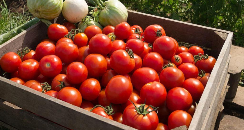    Создано нейросетями