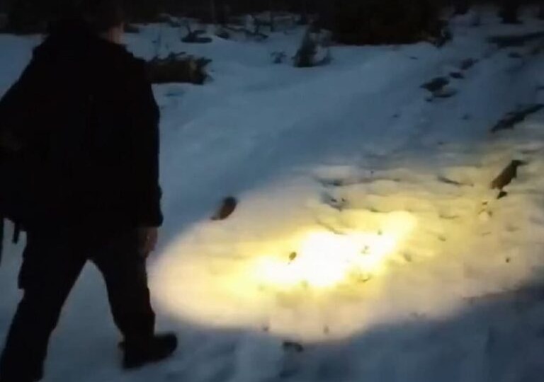 Из леса у Радицы-Крыловки спасатели «Лизы Алерт» вывели ночью 2 подростков