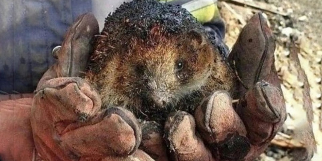 Парень рассказал о своей работе смоукджампером: всё не как в кино