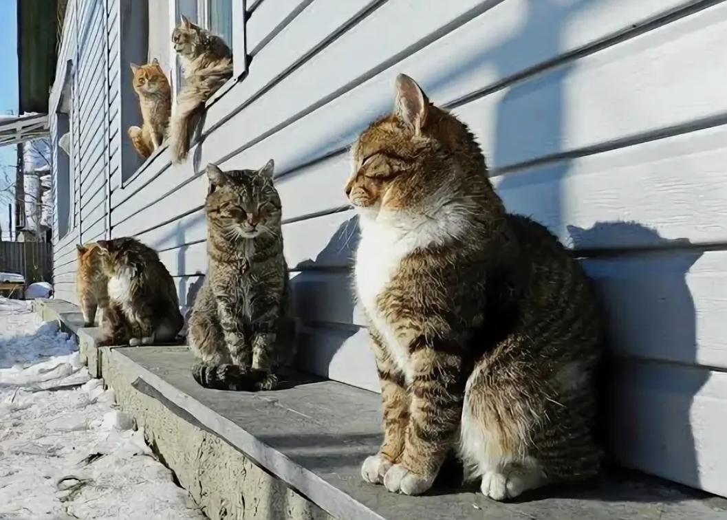 Фото из открытых источников 