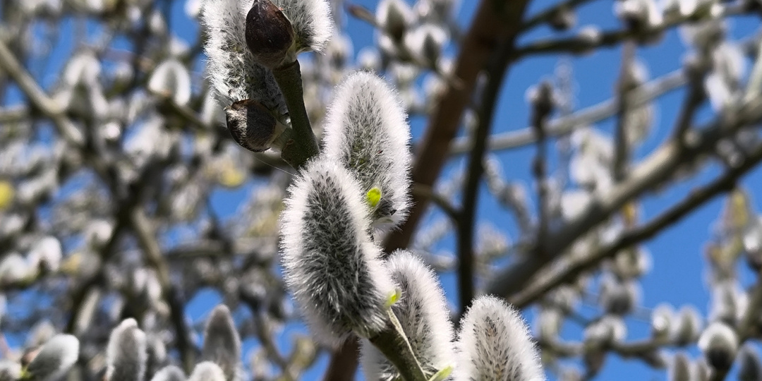 Суббота.14.03.26. Кулинарные эксперименты, покупки на маркетплейсе