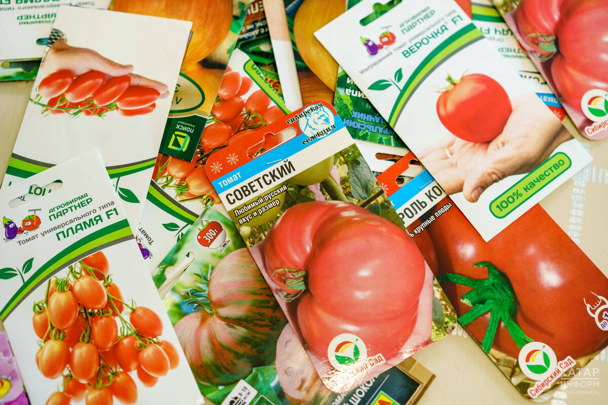 Фото: © Салават Камалетдинов / «Татар-информ»