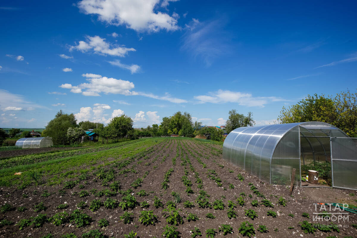 Фото: © Салават Камалетдинов / «Татар-информ»