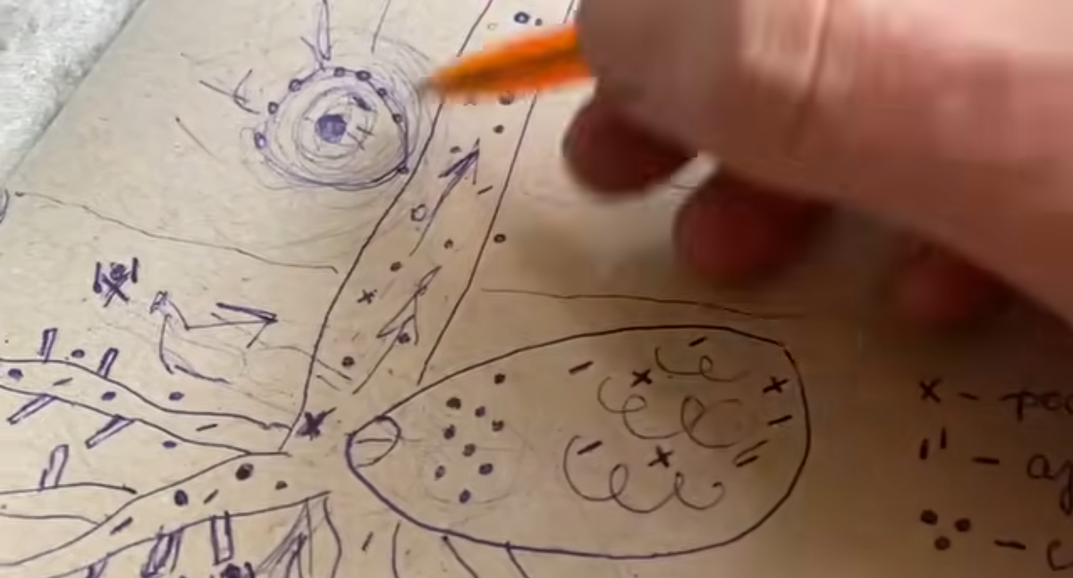 Срин видео с канала "Плодородие земли" в котором автор рассуждает о том чего не может знать из за отсутствия нужных для этого инструментов и отрицает ученых которые реально видели все это.