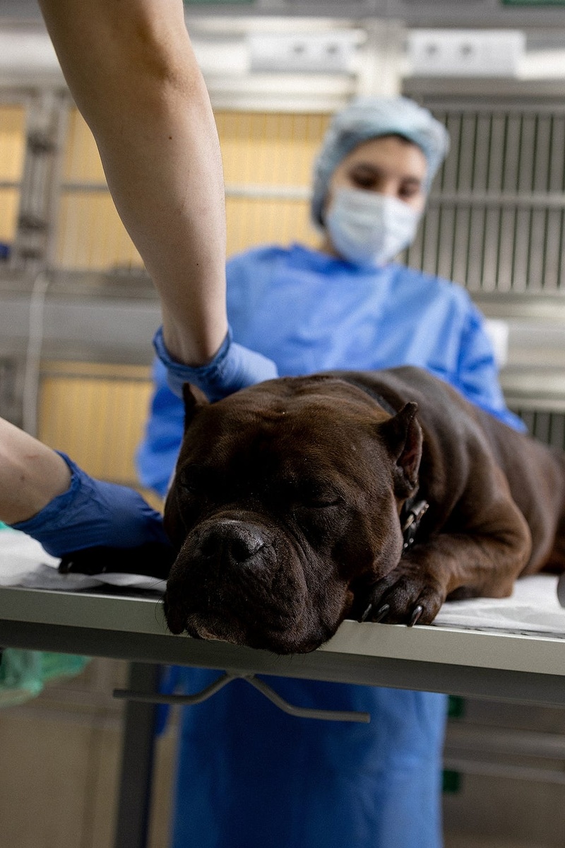 Создать карусель