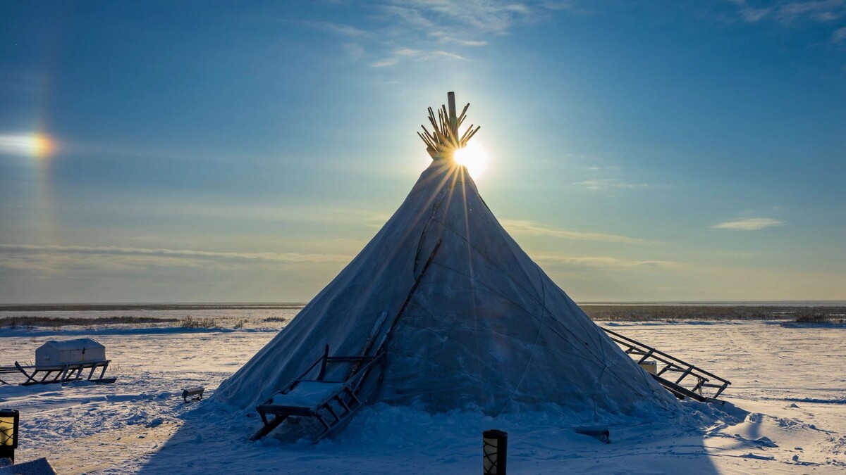    Фото: Федор Воронов / «Ямал-Медиа»