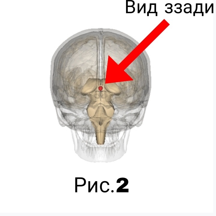 -1-3