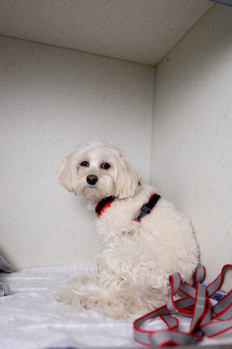 Создать карусель