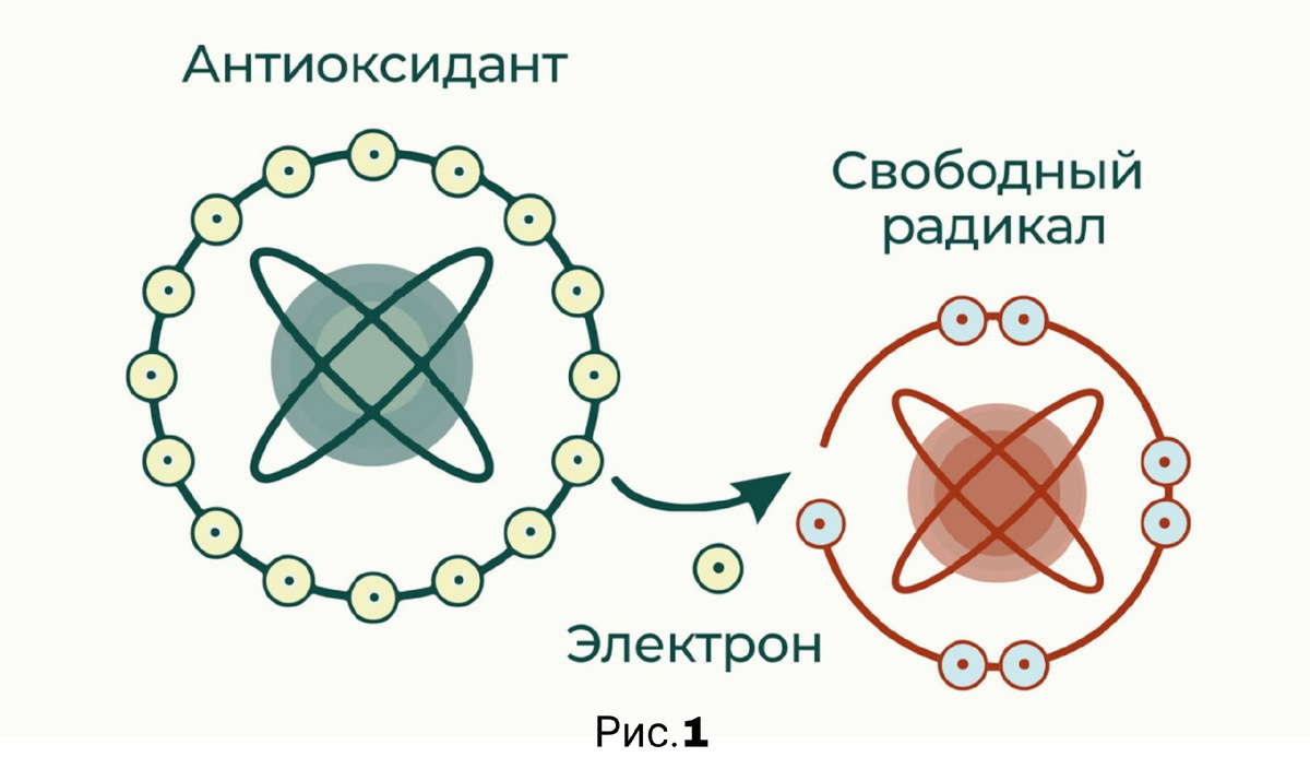 -1-2