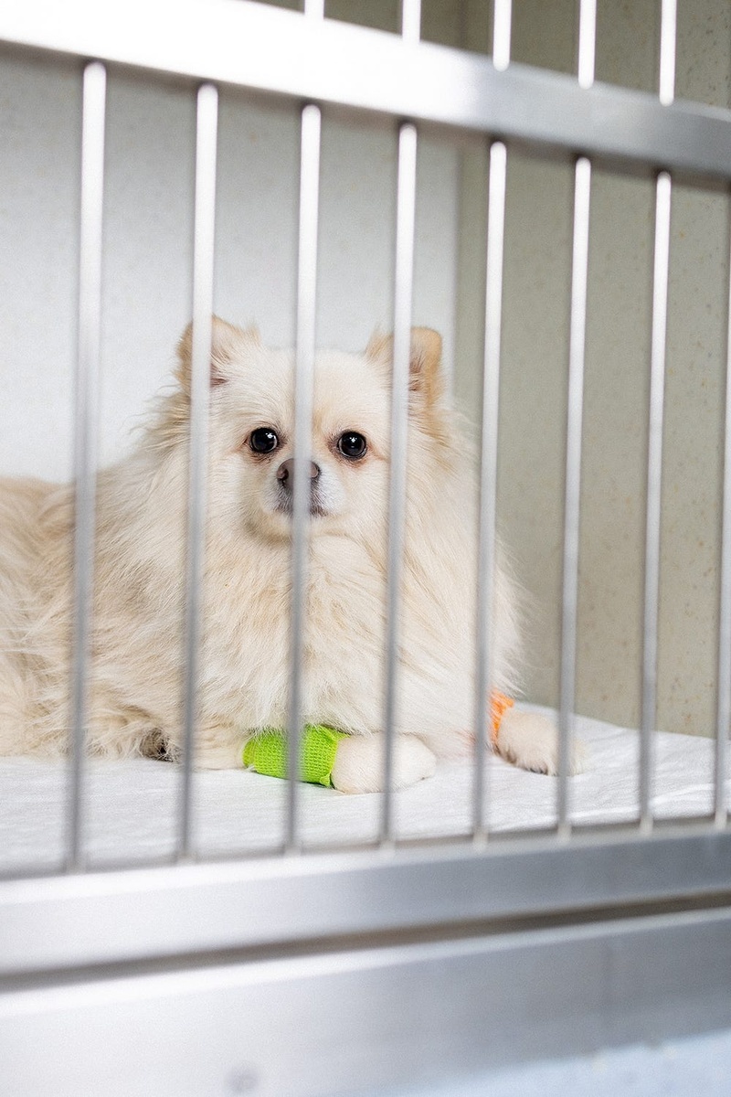 Создать карусель