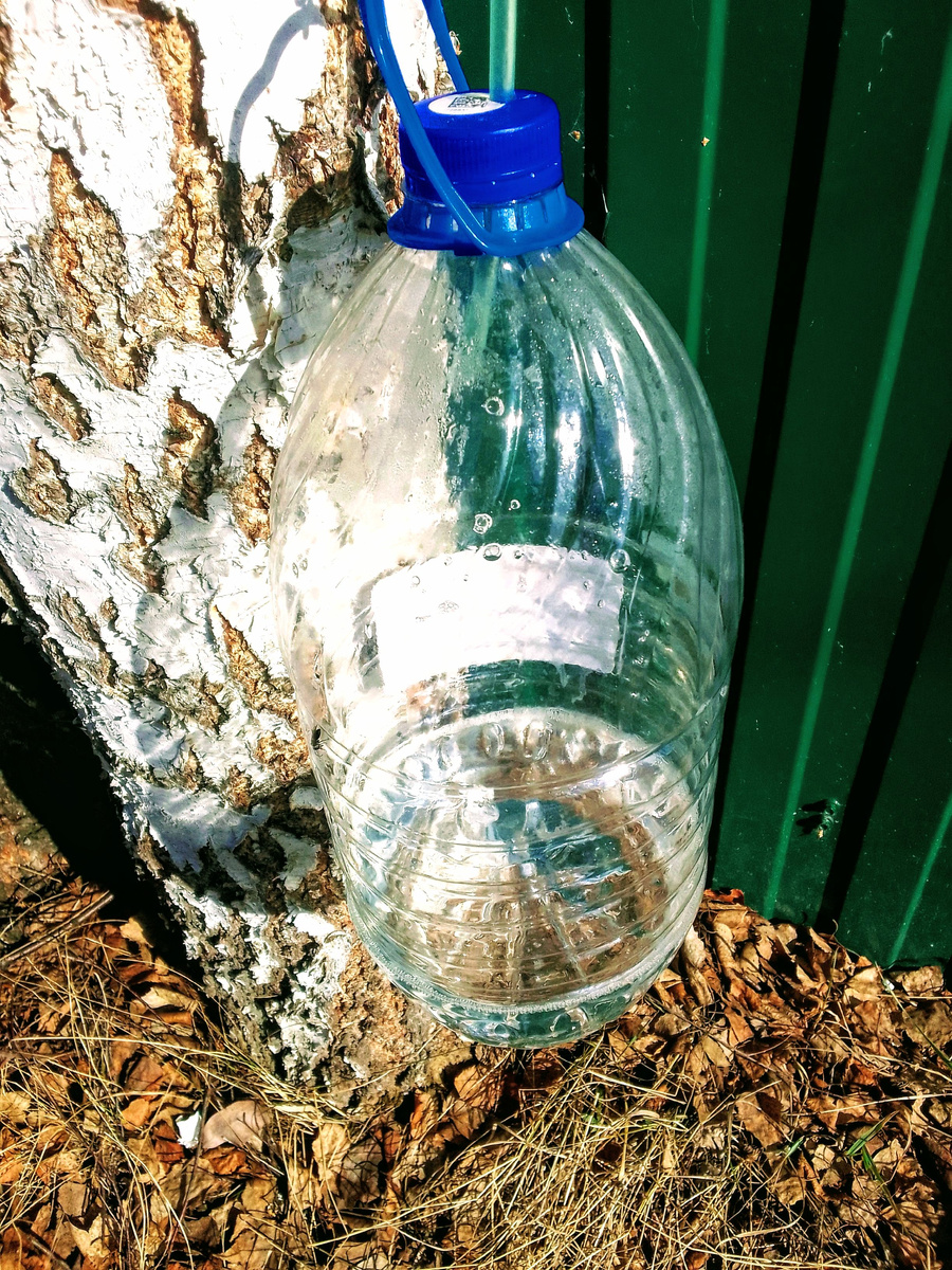 4 апреля 2023 год