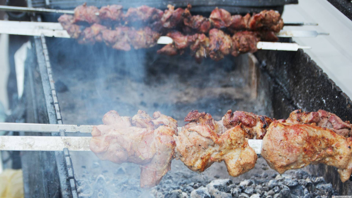     Шашлык   
Константин Ерёмин © ИА Красная Весна