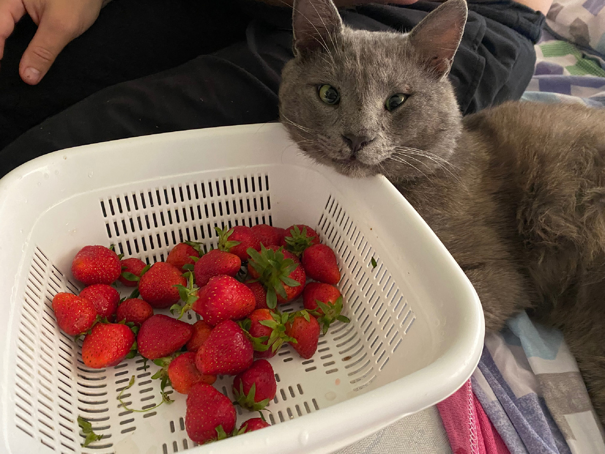 Красиво жить не запретишь