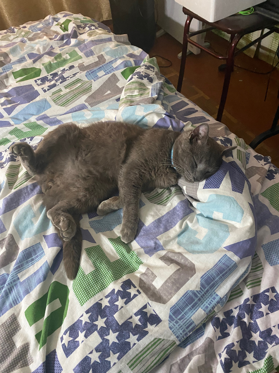 Жизнь удалась