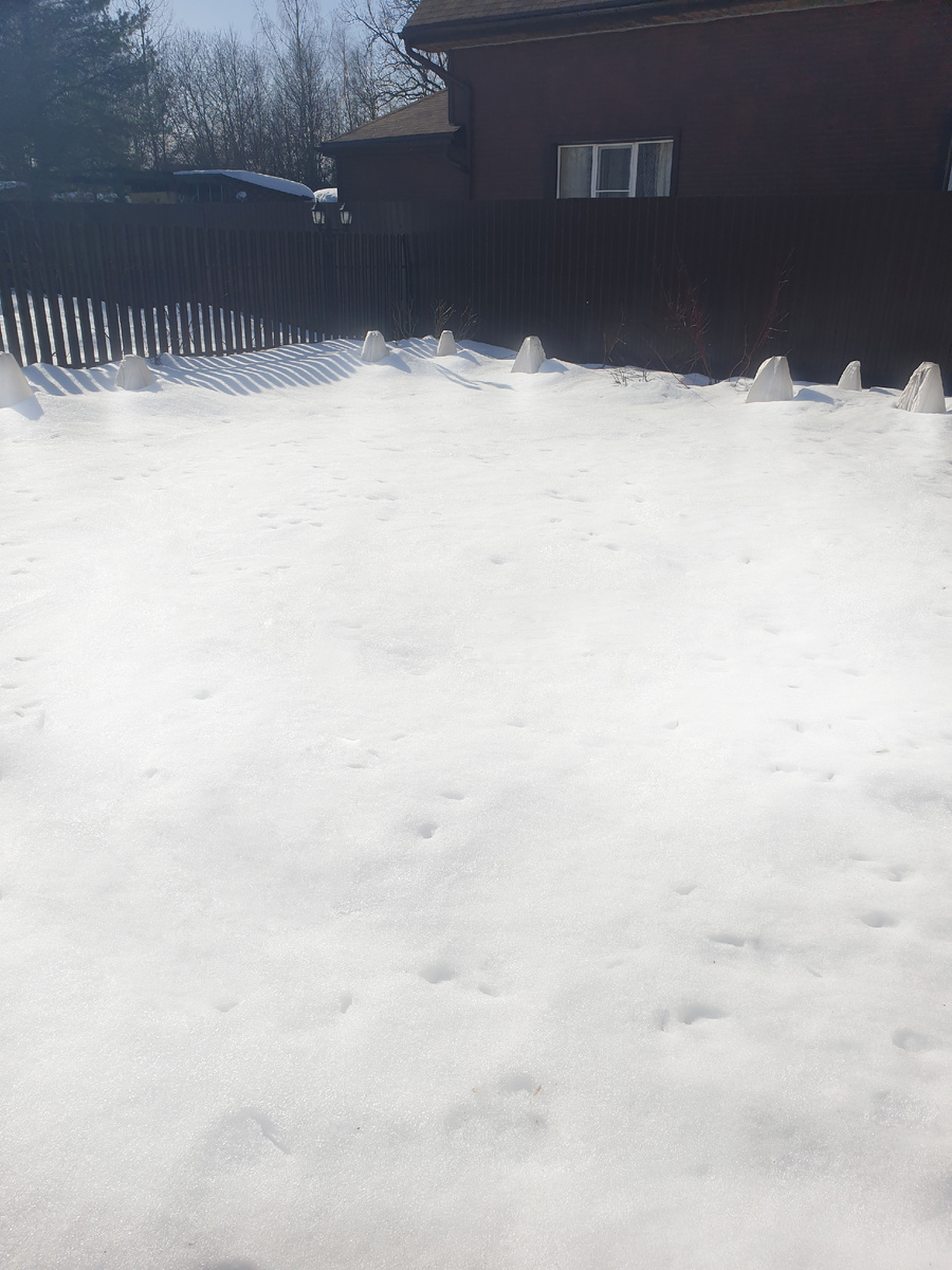 Лужайка под окнами дома.