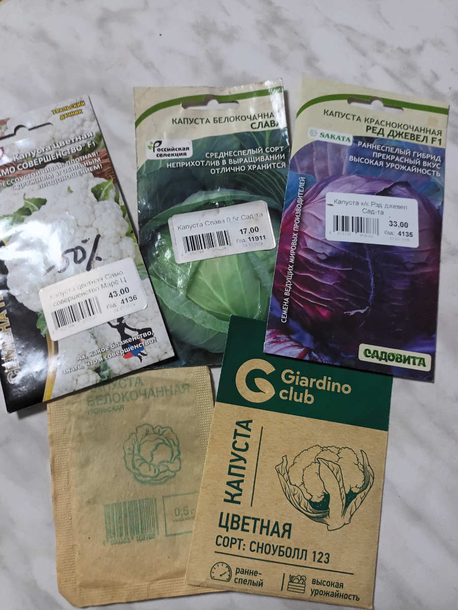 Сегодня сею капусту