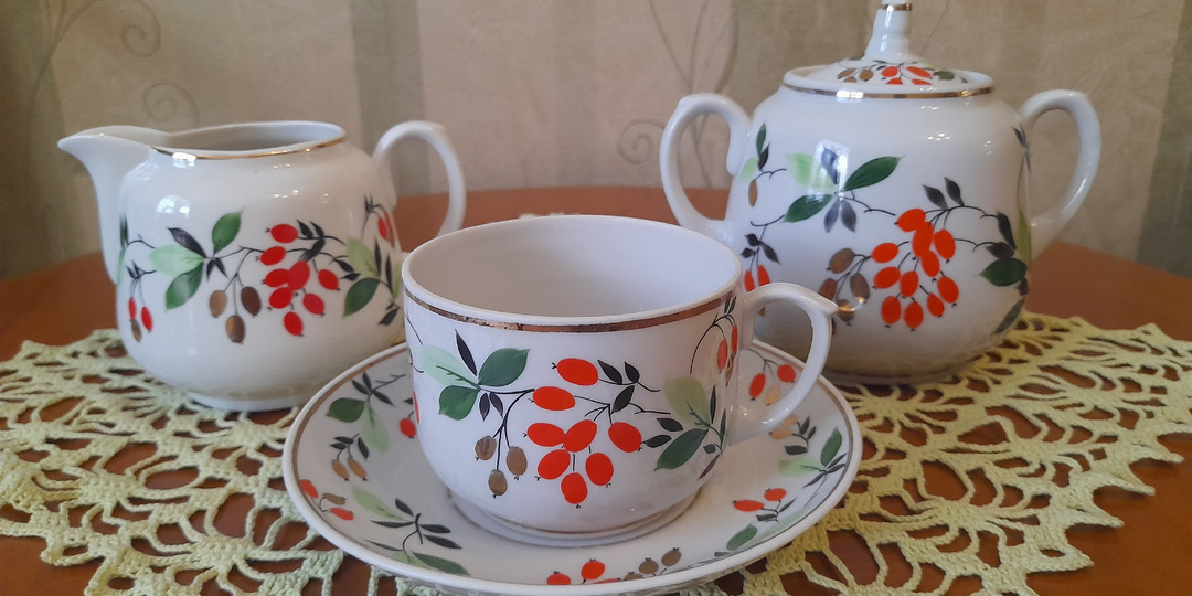 Кизил или барбарис? Нет, всё-таки, кизил