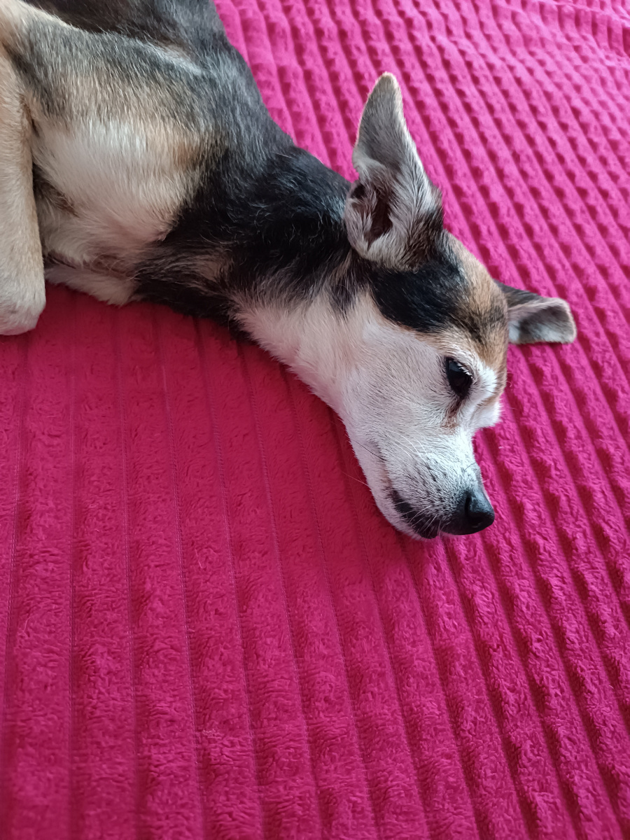 Фото автора канала 