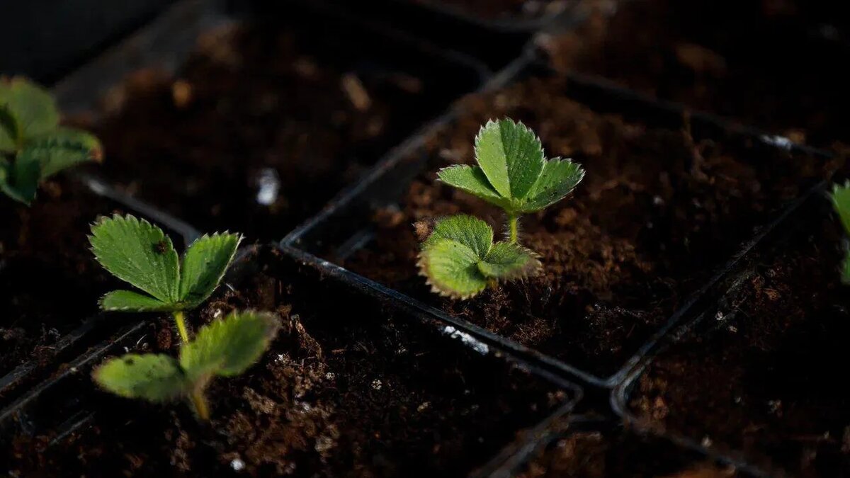 / Фото: REGIONS/Наталья Надточая