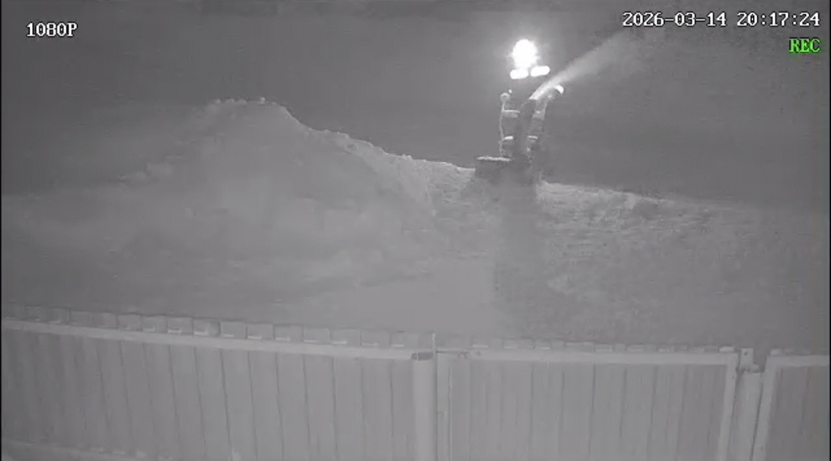 Личный снимок автора канала