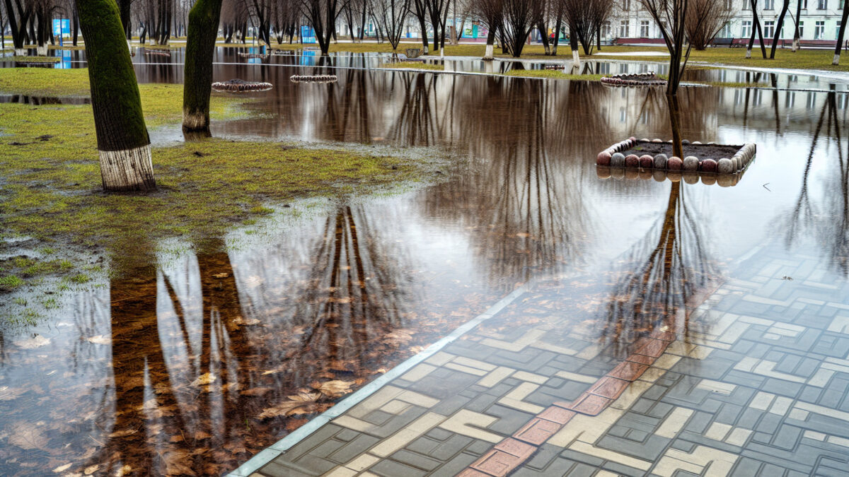    Фото - slanews.ru Елена Пахомова