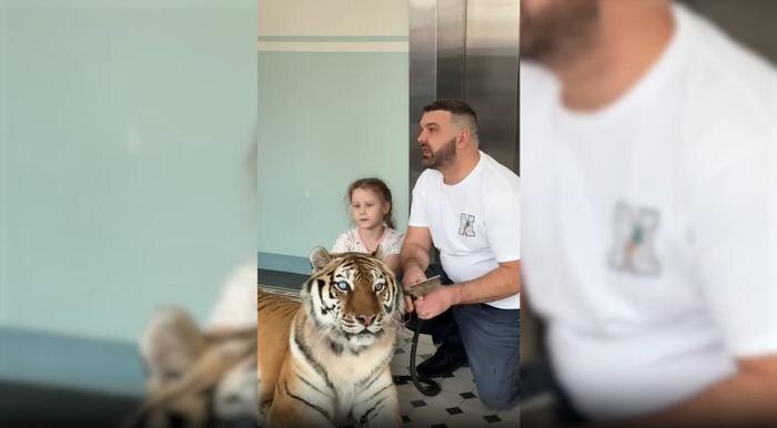 Обложка © Telegram / Фонд «Вера»