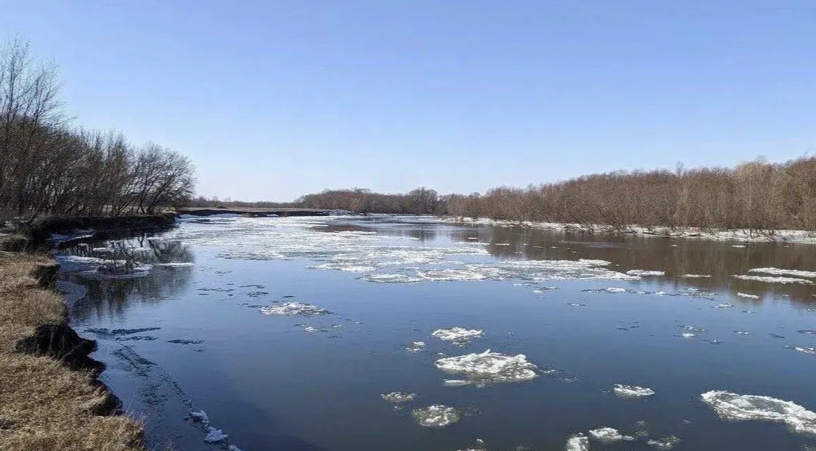    Организована проверка после травмирования водителя лодки под Астраханью