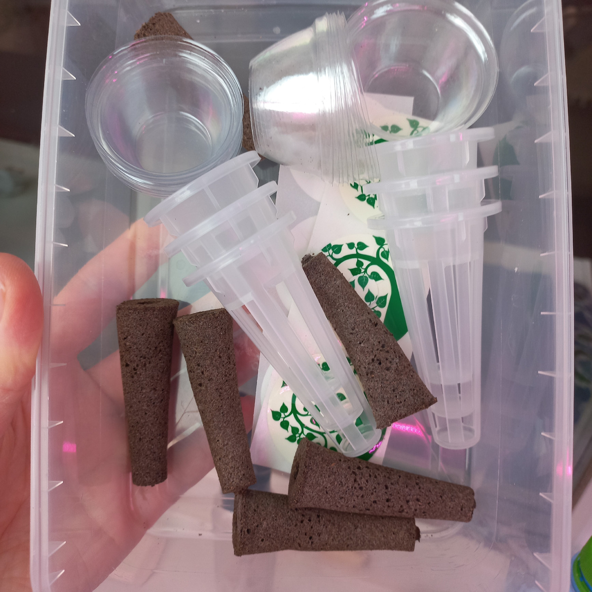 Вот так выглядят почвогубки и лунки. Рядом лежат колпачки, но я ими не пользуюсь. Фото автора.