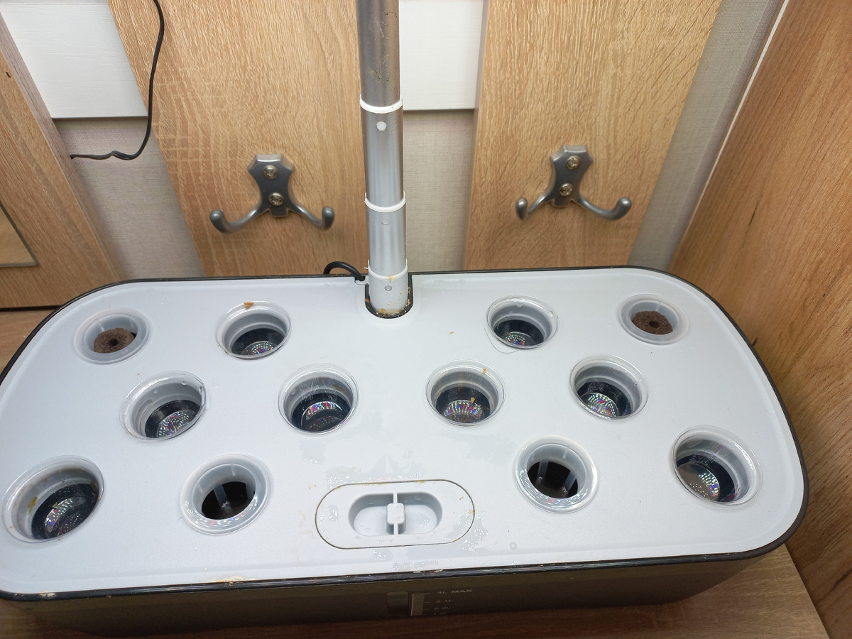 Посадила салат в крайние дальние лунки. Колпачками решила закрыть пустые лунки. Хотя по назначению колпачки нужно использовать чтобы накрыть почвогубки с семенами, наверно чтобы им тепло было. Фото автора.