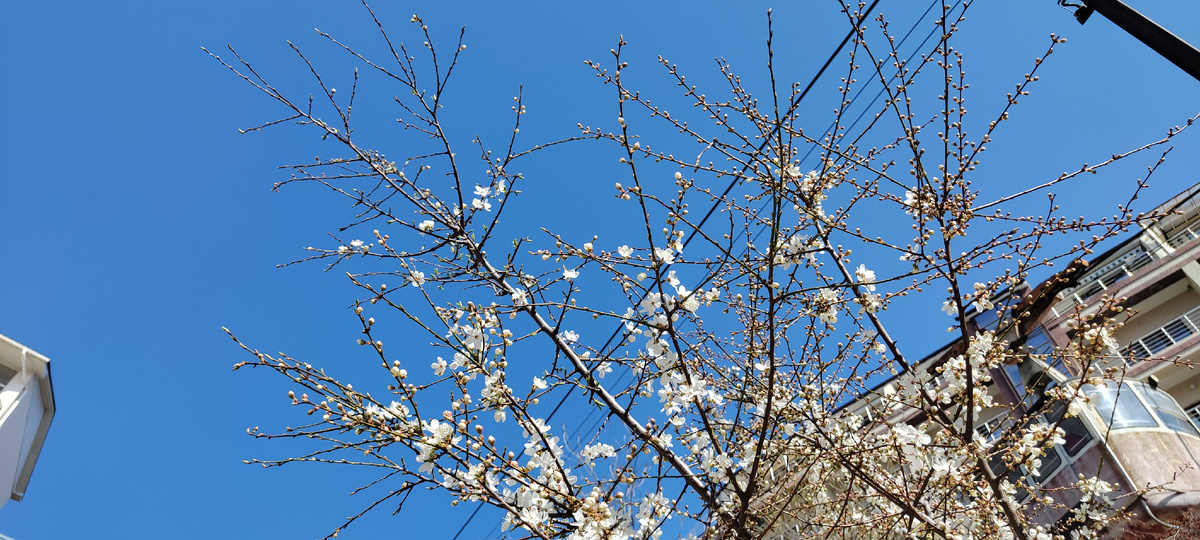 В кадр попал фуникулёр. В 2001 я ещё на нём поднималась от пляжа наверх.