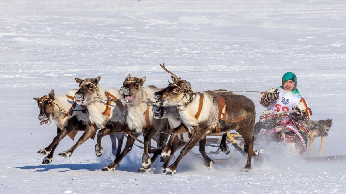    Фото: Федор Воронов / «Ямал-Медиа»