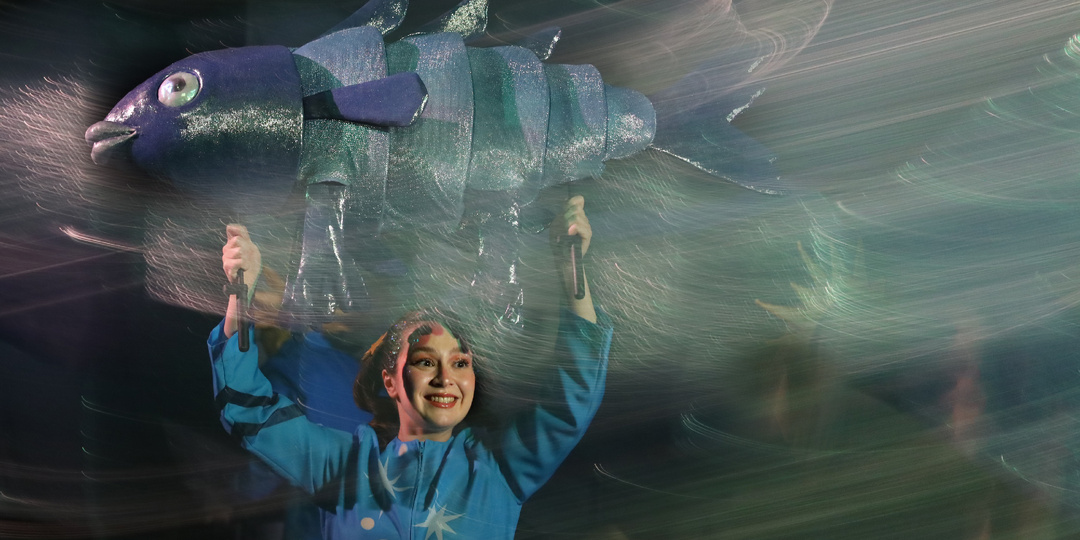 ЗВЕЗДЫ, ЗЕМЛЯНЕ И ТРИ «З»