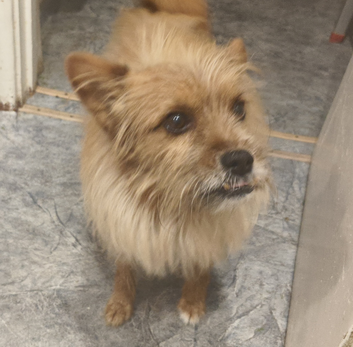 Что делать без рулетки?! Говорят, без неё доверия мне мало 🫣