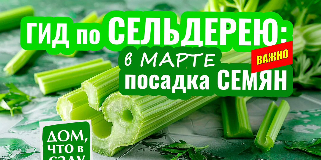 ГИД по СЕЛЬДЕРЕЮ: в МАРТЕ ПОСАДКА СЕМЯН!